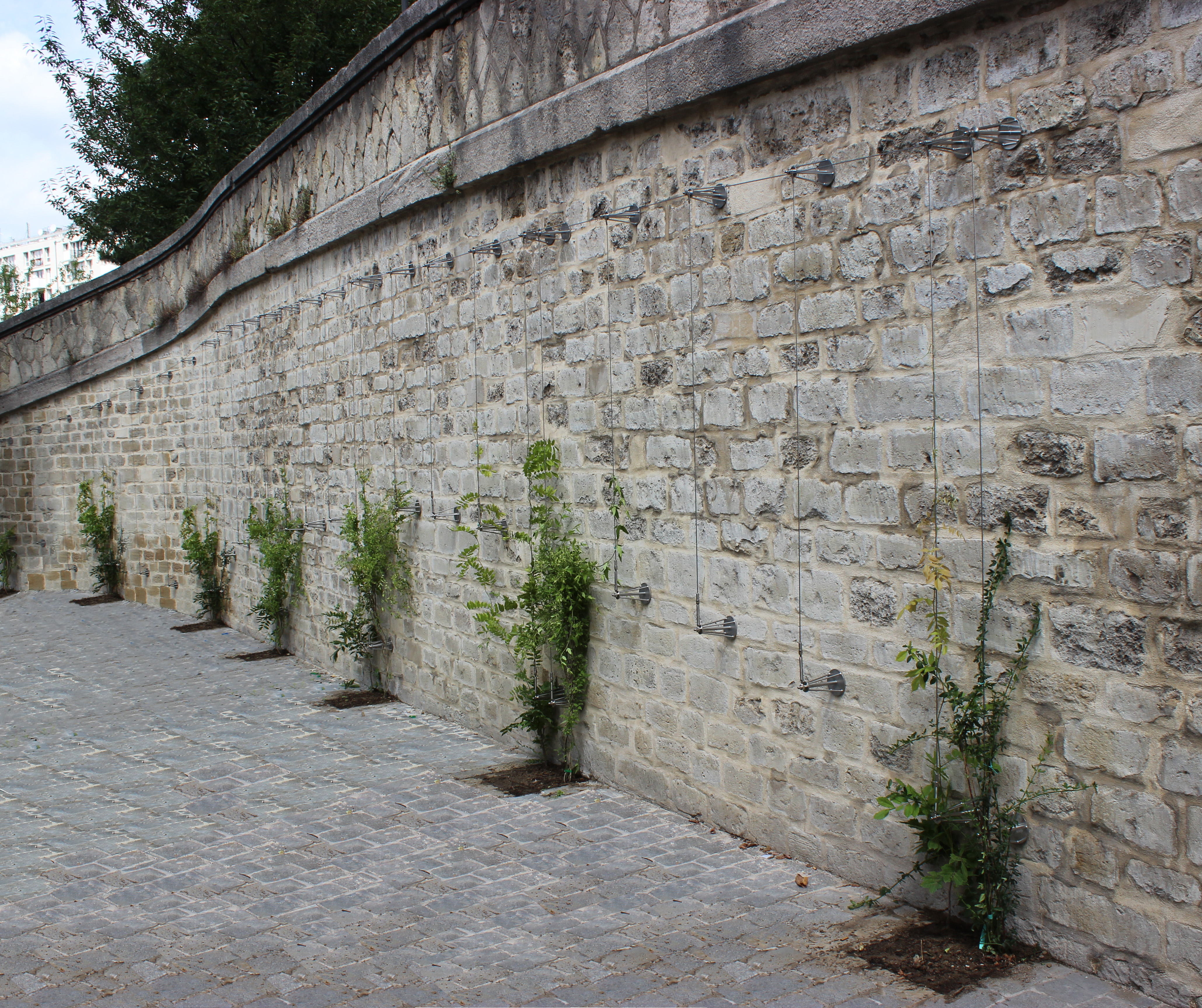 Végétalisation d'espaces publics, Paris (75)